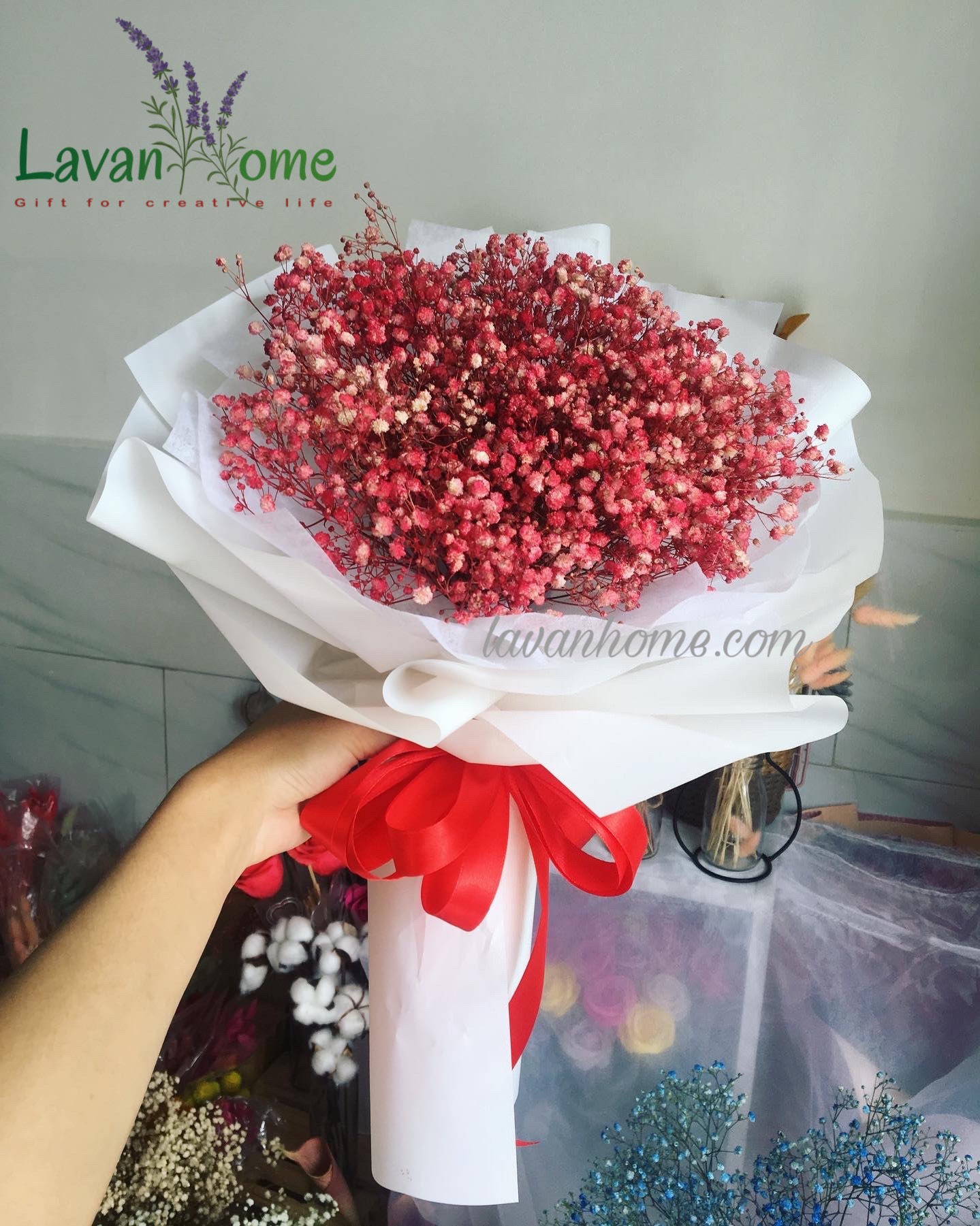 Bó hoa khô baby hồng (nhiều màu)