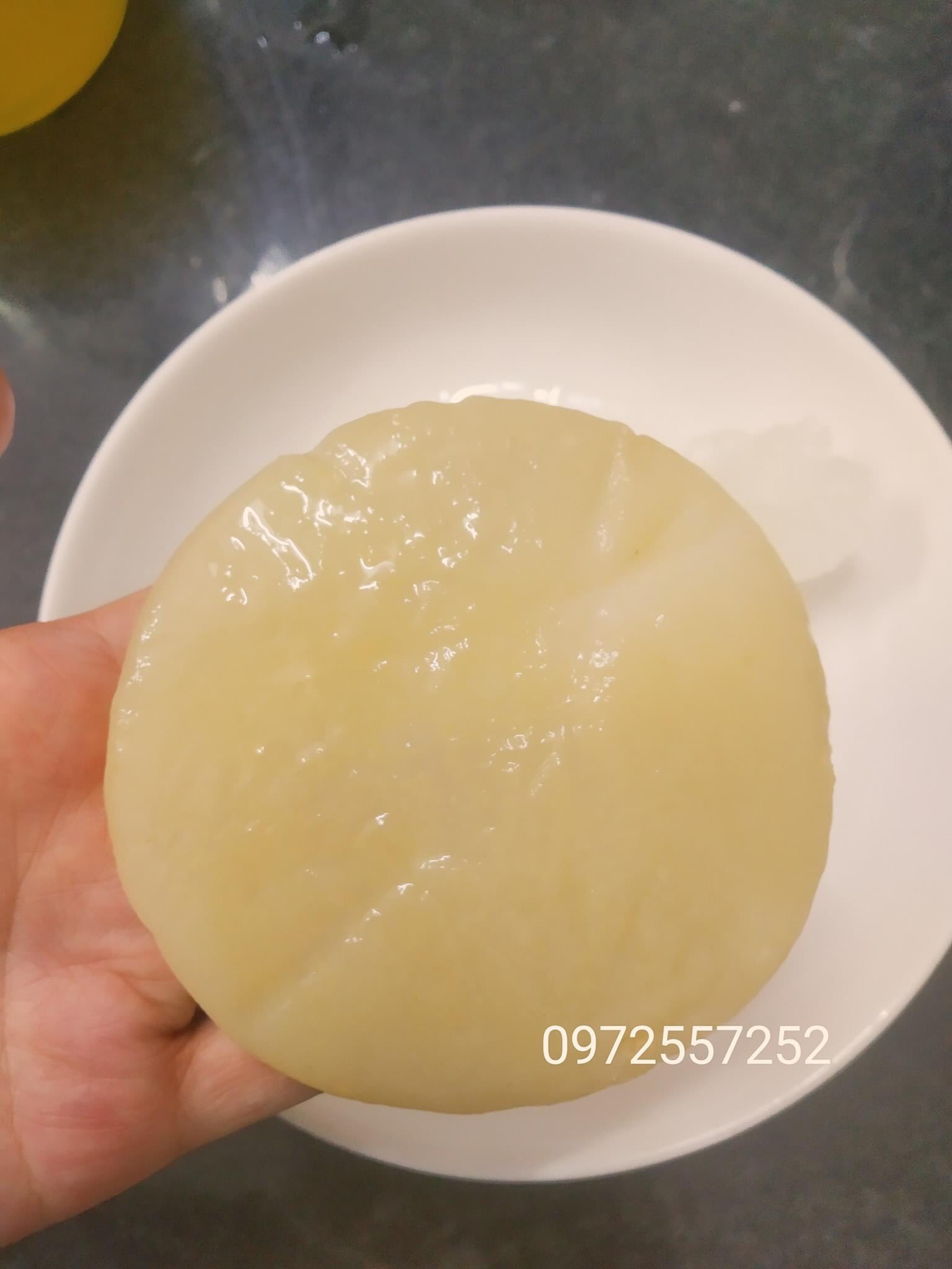 Scoby NẤM KHOẺ, TRÀ NGON con men làm trà thủy sâm kombucha