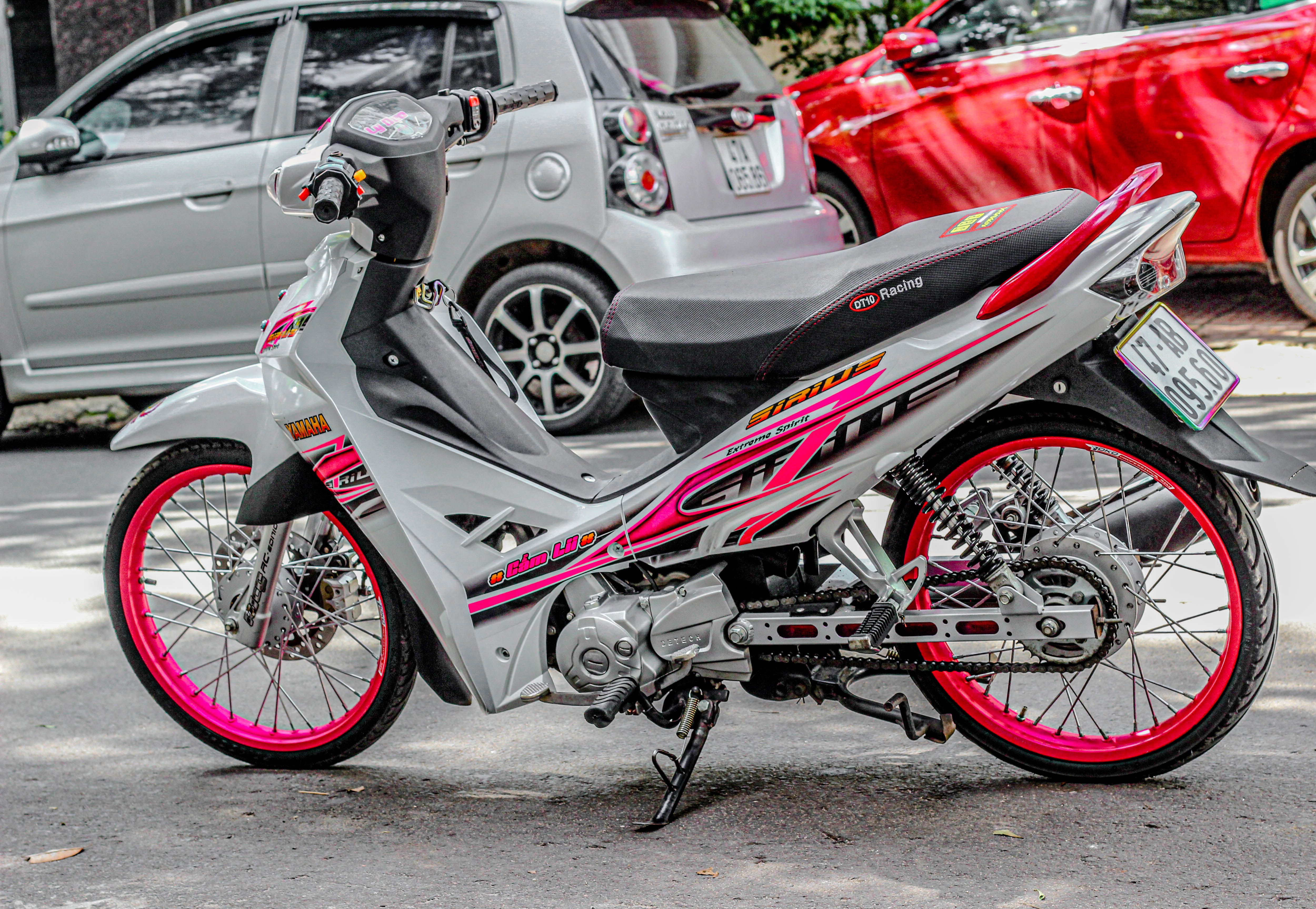 Tem Sirius trắng Phối Hồng Mẫu Lửa ẩn