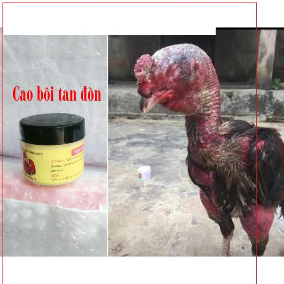  Cao Tan Đòn Top9 hàng Thái Lan Cho Gà Đá 