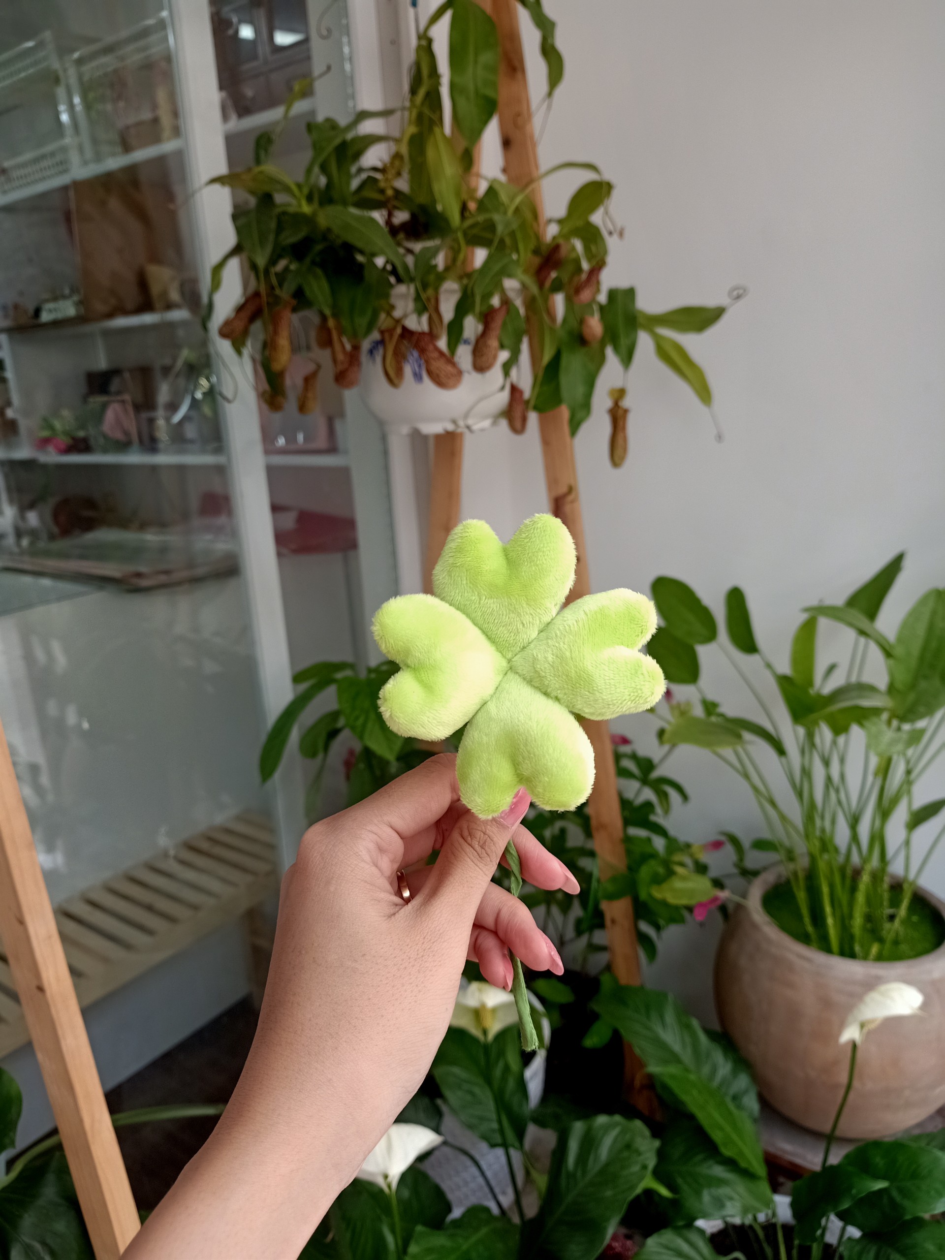 Cỏ 4 lá dễ thương, thân 20cm - gấu bông đình may
