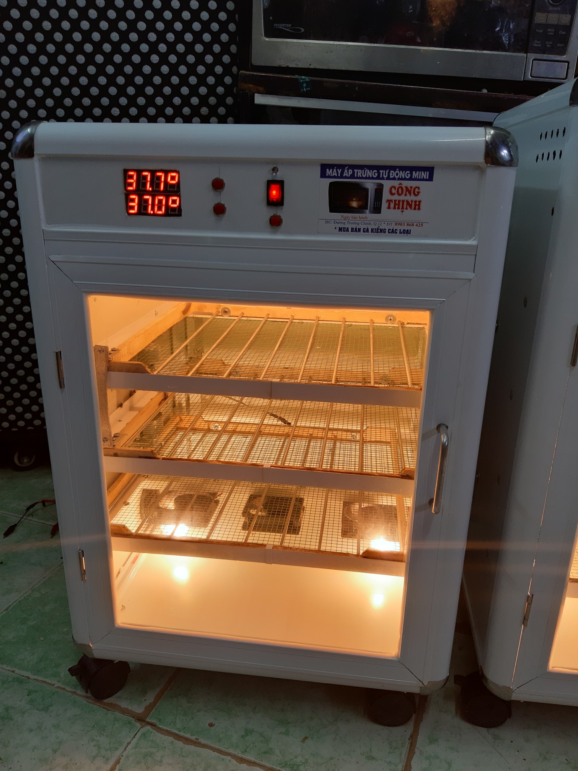 Máy ấp trứng tự động mini công thịnh