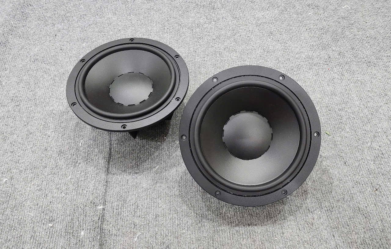 Loa Arouse Bass 20 Từ Neo Coil 75