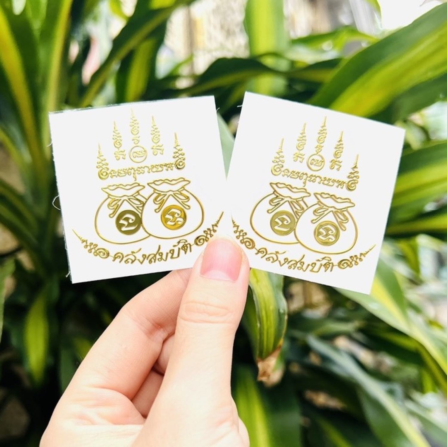 Linh phù túi tiền đôi thái lan - tụ Եài lộc tránh thất thoát cực đỉnh