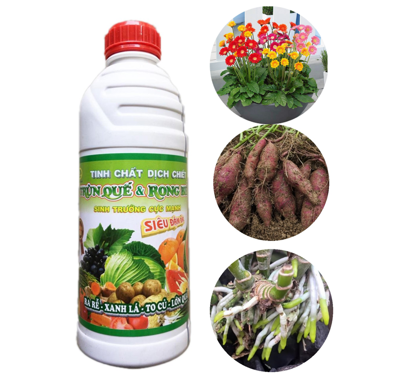 Tinh chất dịch chiết Trùn quế & Rong biển Siêu đậm đặc 1 Lít - Dịch Trùn Quế & Rong Biển Hoàng Nga 1 Lít Divi Store