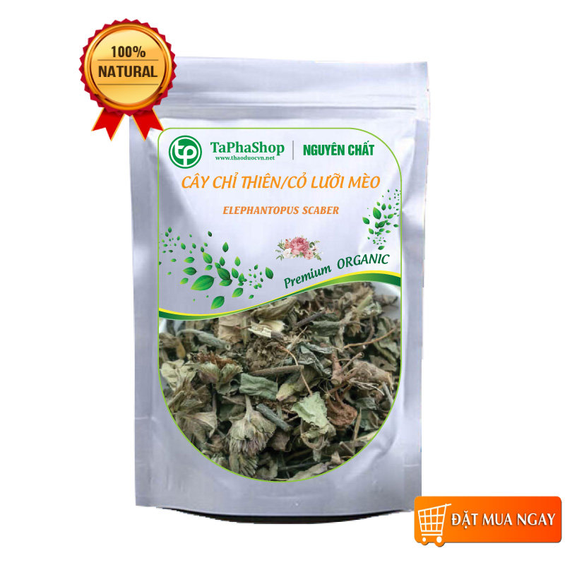 Cây chỉ thiên sấy khô 500g, Cỏ lưỡi mèo khô