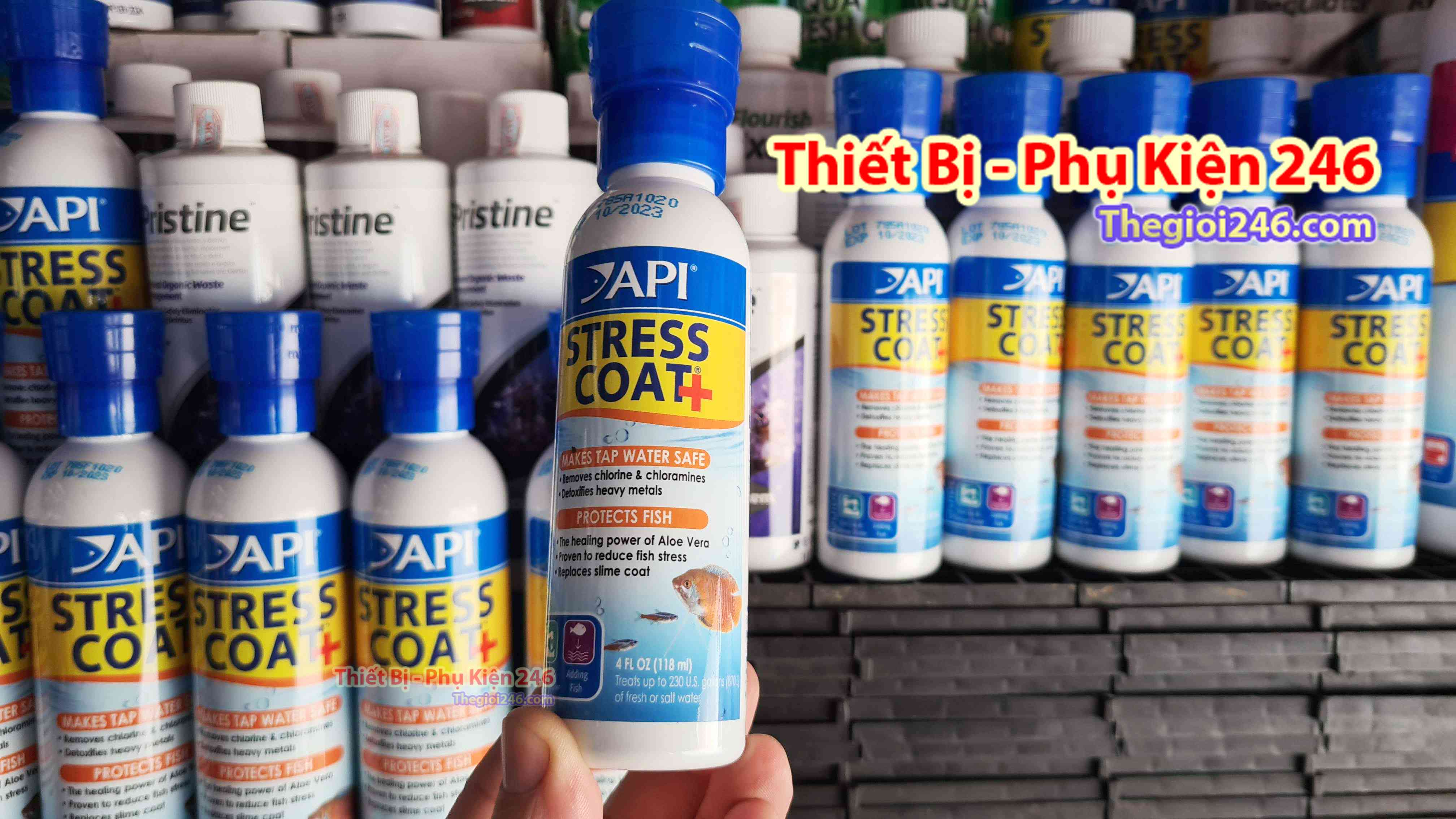 Api stress coat 118ml - dưỡng thương cá
