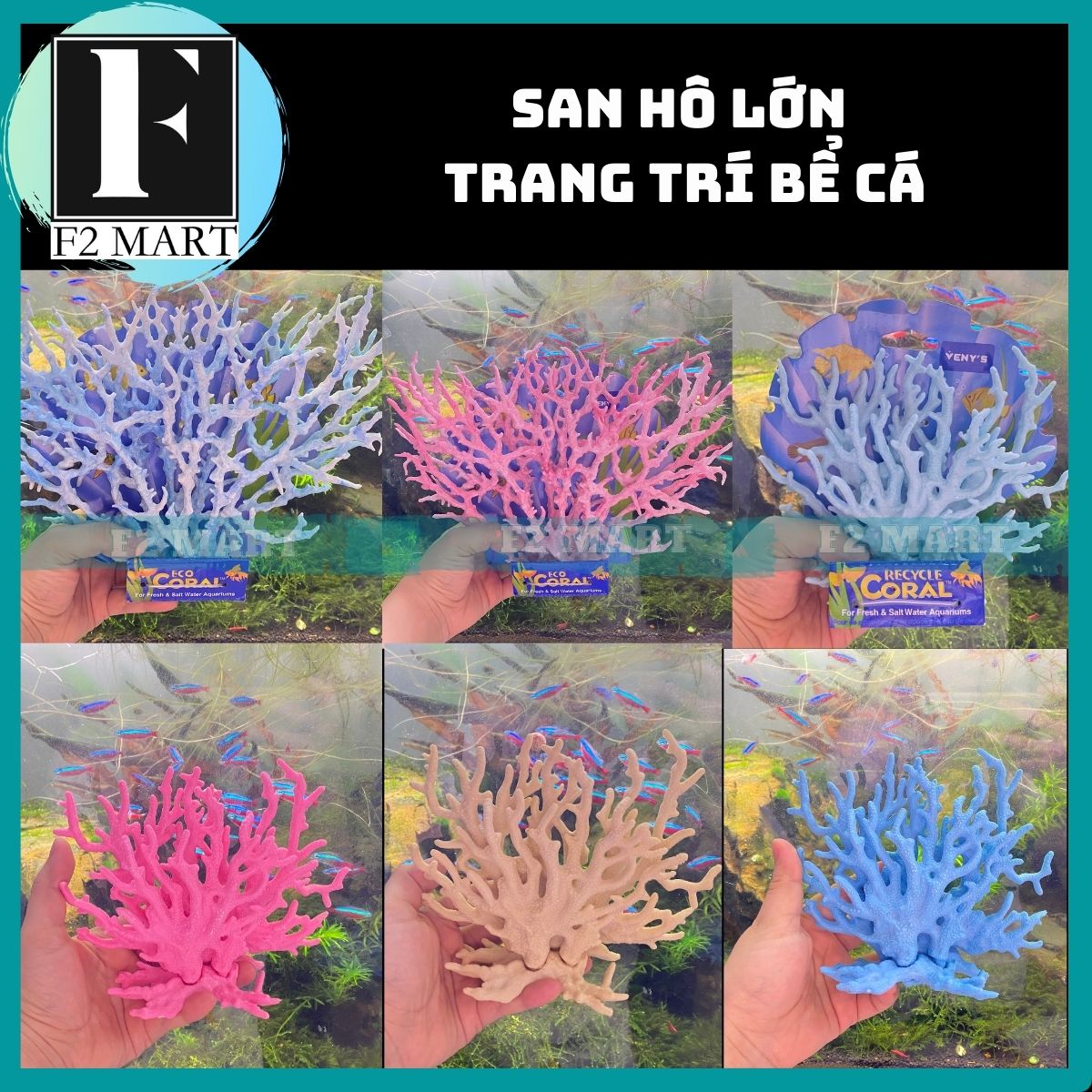 San hô trang trí bể cá cảnh, hồ cá cảnh siêu đẹp