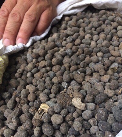 Túi Phân dê dùng cho hoa LAN, HỒNG 1kg