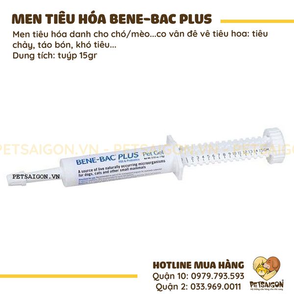Ống men bene-bac plus 15gr