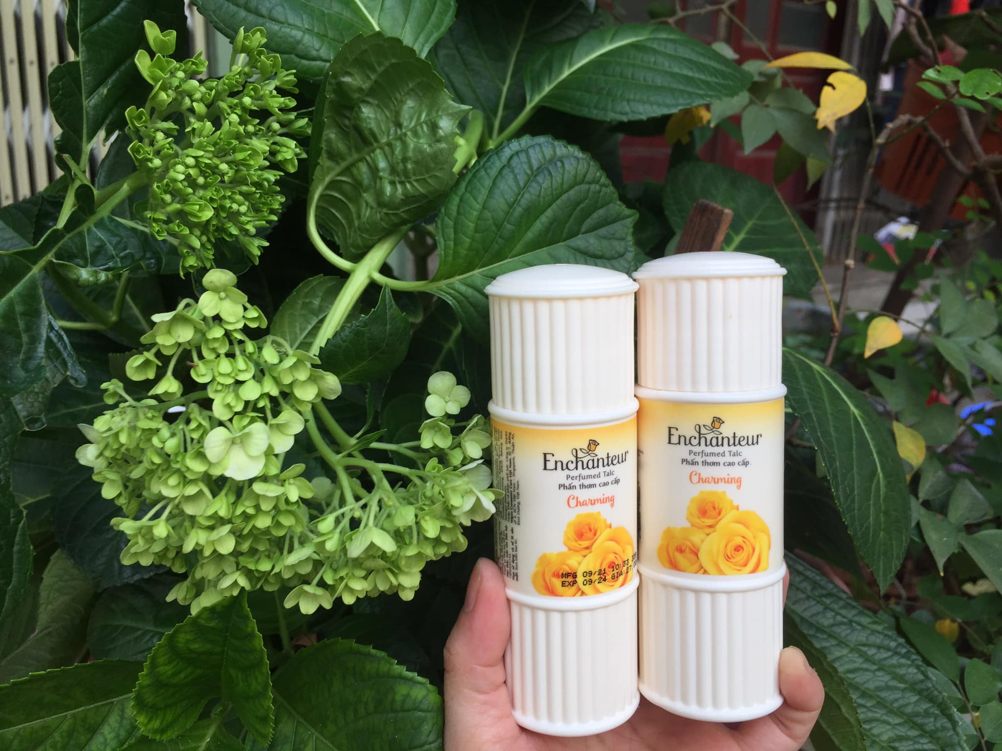 Combo Phấn Thơm cao cấp Enchanteur Charming 50 gram