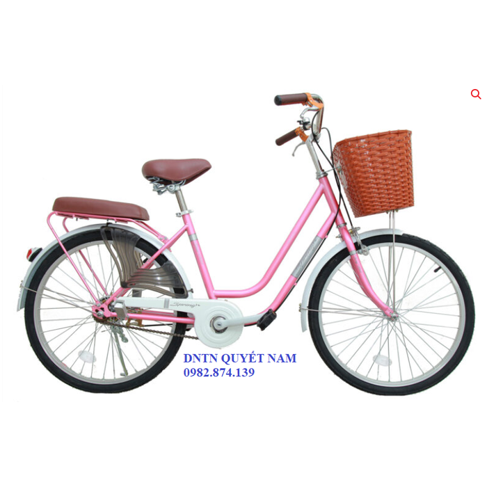 Xe đạp Thống nhất nữ LD 24