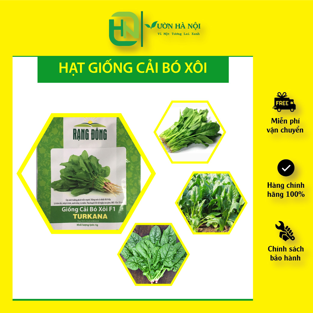 Hạt giống cải bó xôi khối lượng 5gam