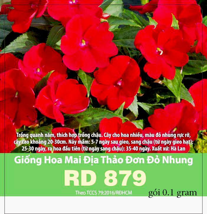 [HCM]Hoa Hà Lan - Mai địa thảo đơn đỏ nhung Rd 879_gói 01gram và gói 0.5gram .