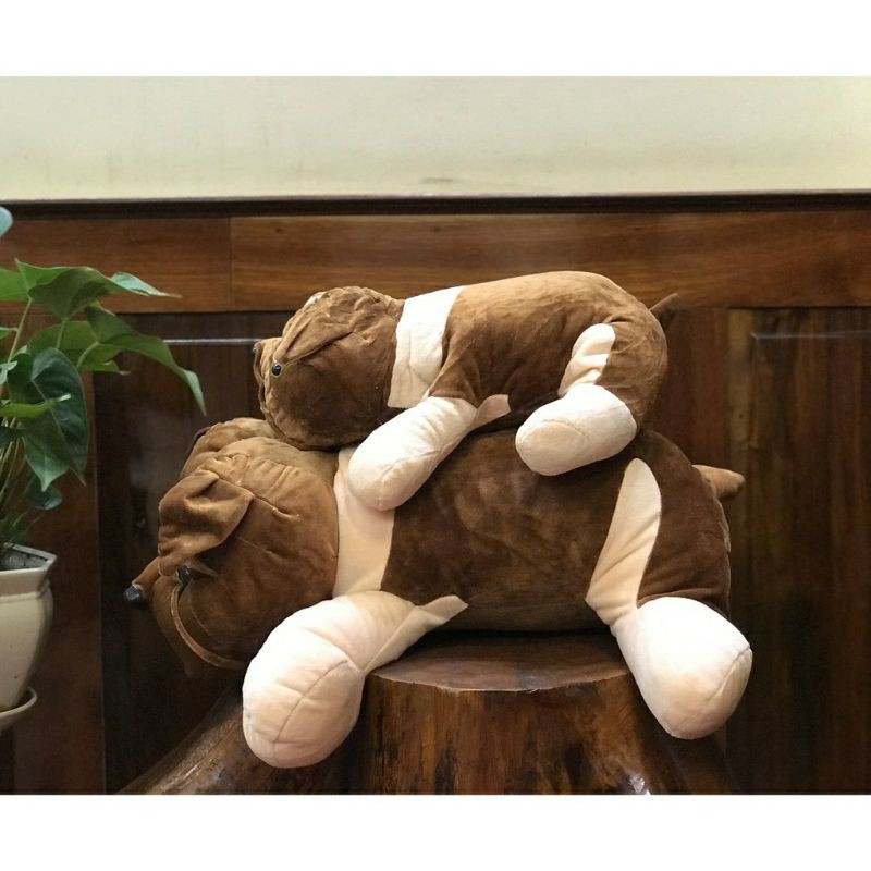 Gấu bông chó PIGBUL mặt xệ đáng yêu