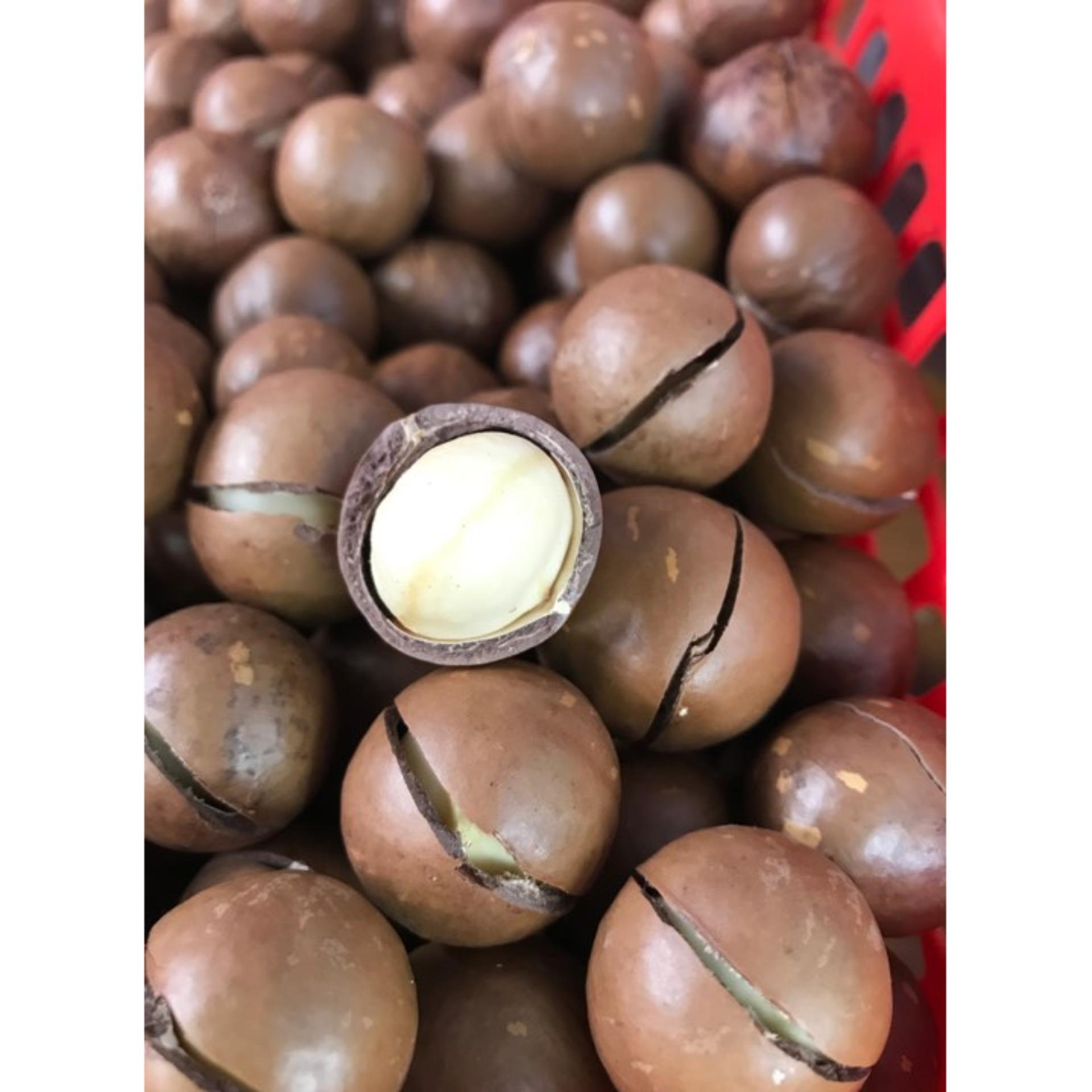 500gr hạt macca nhập khẩu úc nature food_ loại đặc biệt
