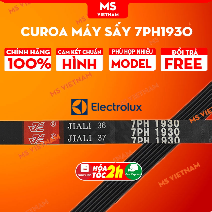 Dây curoa máy sấy electrolux 7PH1930 DÙNG CHUNG cho các model trong mô tả - MS Vietnam