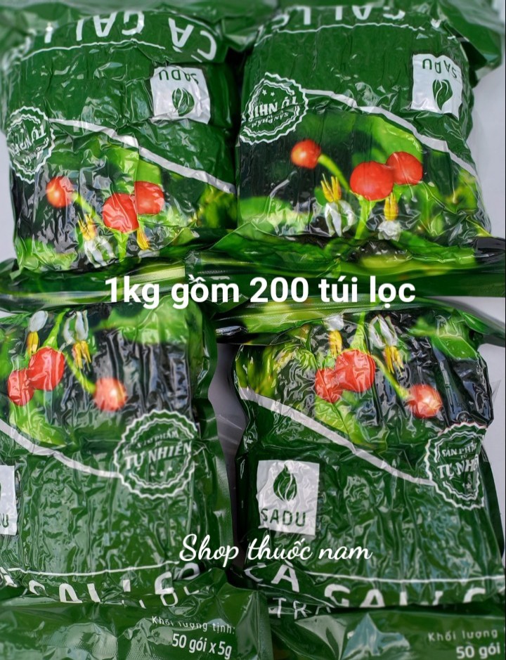 Trà túi lọc cà gai leo Sadu 1kg gồm 4 bịch 250g