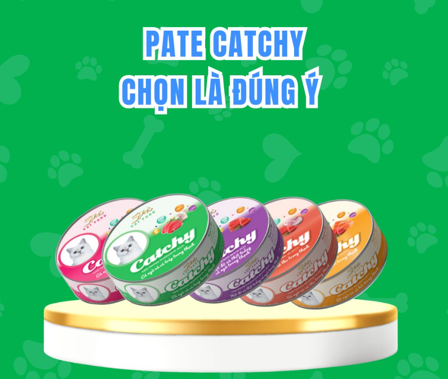 Pate mèo Catchy 5plus Lon 170g, pate dạng thạch dinh dưỡng cho mèo