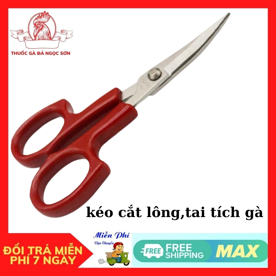 Kéo Mũi Cong Hiệu PIN 1553 Cao Cấp.Kéo cắt lông gà đá, cắt tai tích