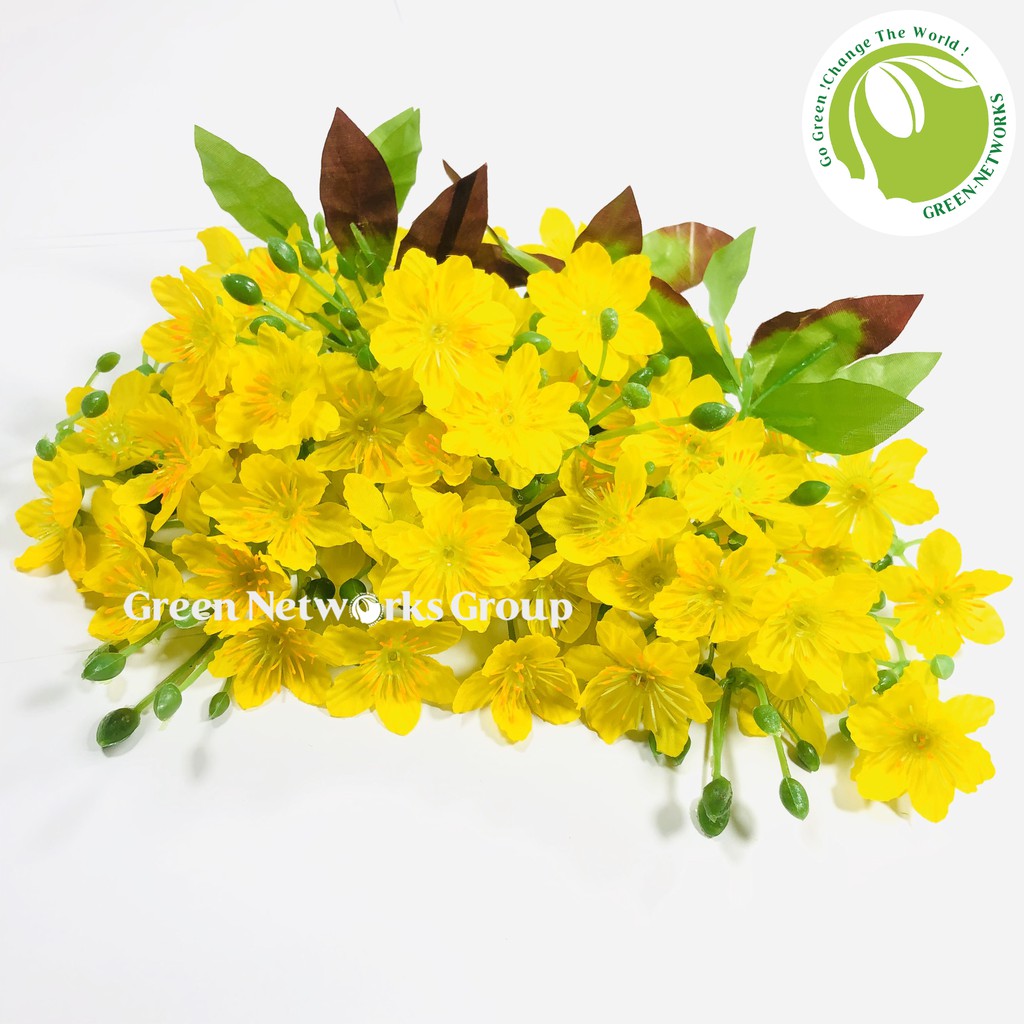 [HCM]Bông mai giả trang trí ngày tết Greennetworks