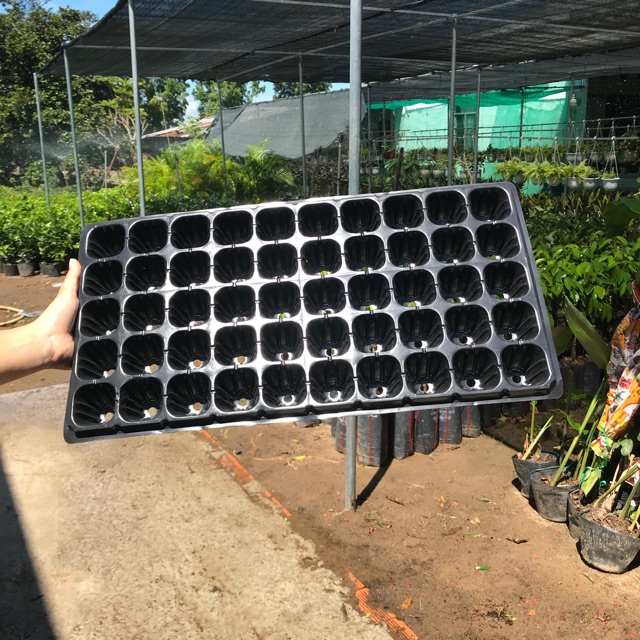 Combo 10 khay ươm hạt 32,50,72,105,200 lỗ