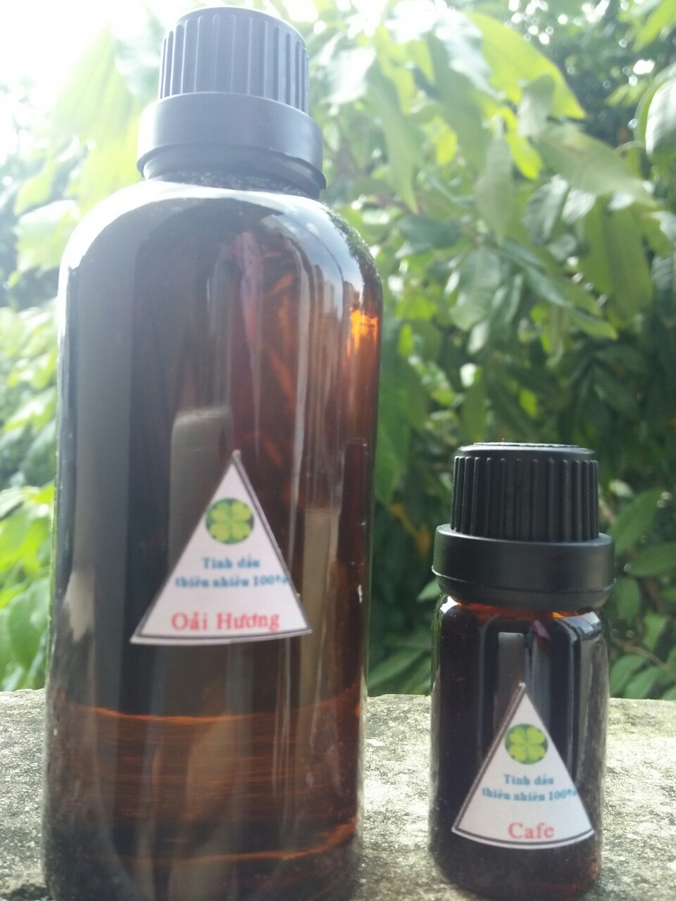 Combo 1 chai tinh dầu hoa nhài 100ml kèm 1 xông 10ml oải hương