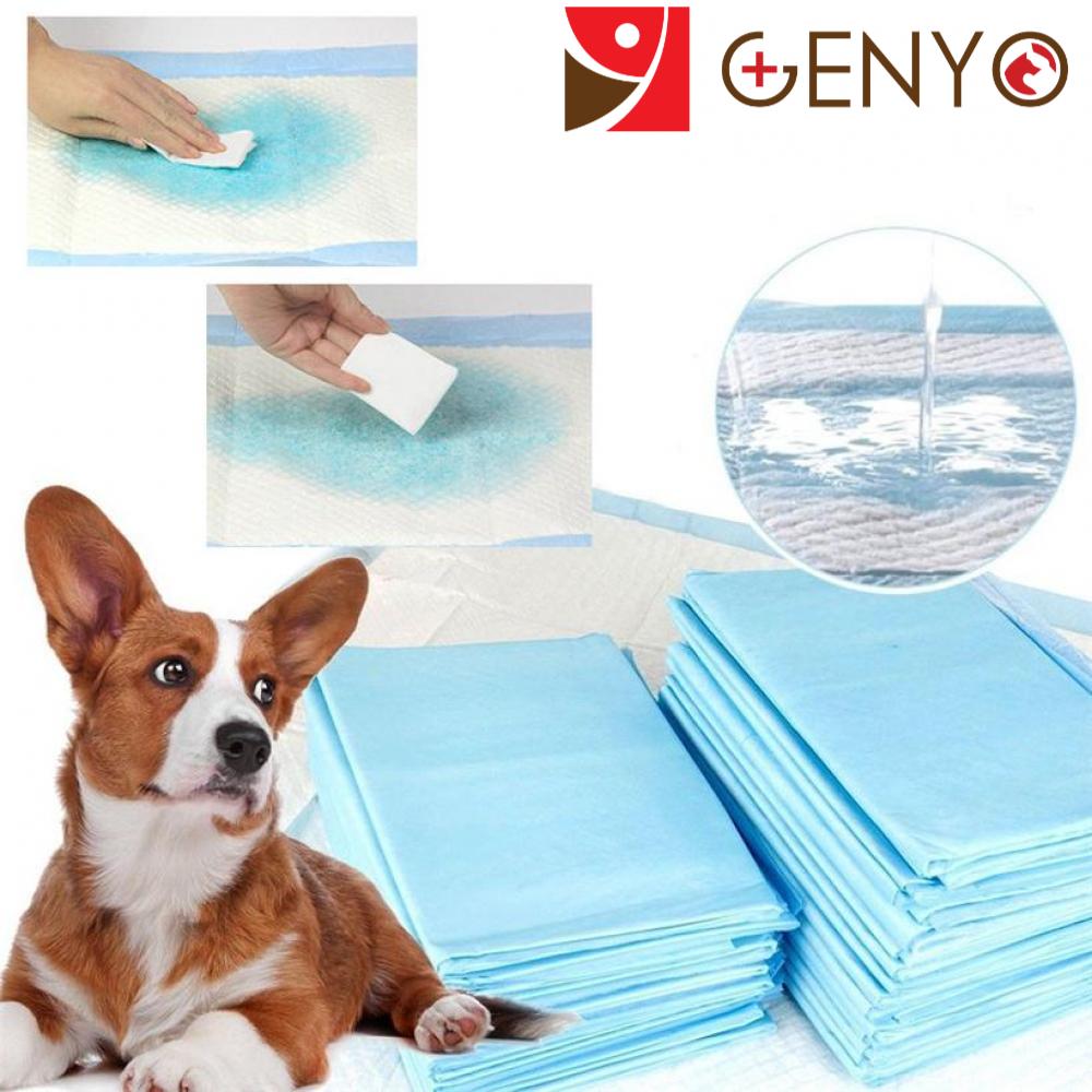 [HCM]10 Miếng lót cho chó mèo siêu thấm (Bịch 10 miếng)