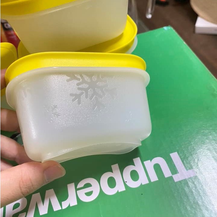 Hộp trữ đông mini freezermate gen ii 170ml