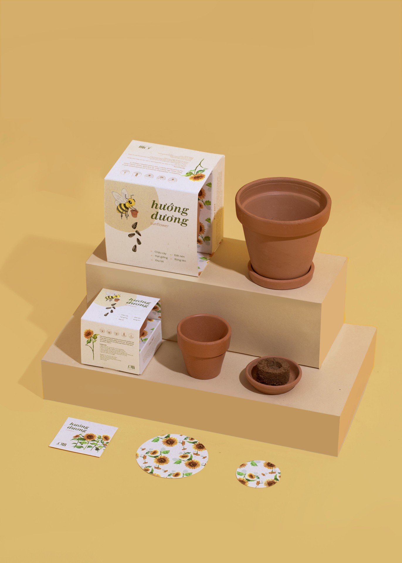 Kit Trồng Cây Mini - Hoa Hướng dương