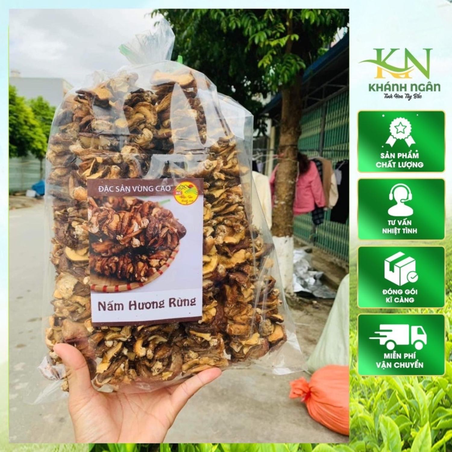 Nấm hương rừng Tây Bắc, nấm đông cô, nấm hương rừng xiên que phơi khô tự nhiên được thu hái, phơi, sấy khô tự nhiên từ nấm hương tươi vùng núi cao Tây Bắc: Lai Châu, Cao Bằng, Sapa