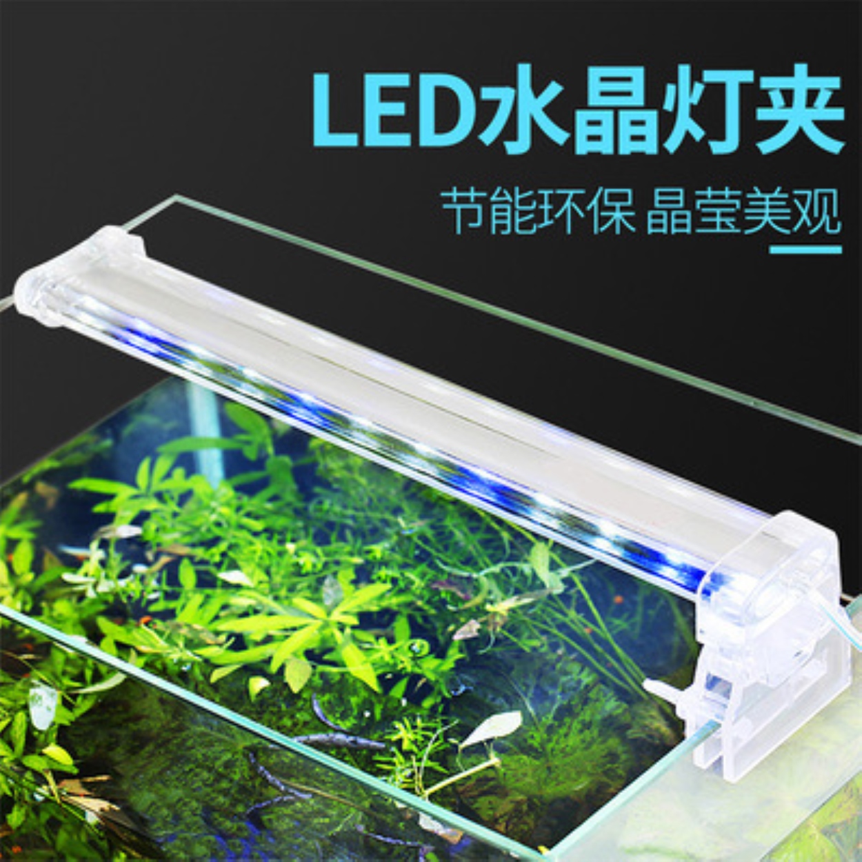 Risheng Bể Cá Nhỏ Đèn LED Kẹp Pha Lê Độ Sáng Cao Bể Cá Nước Nhà Máy Chiếu
