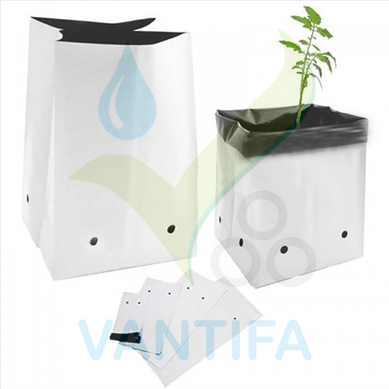 Túi pe trồng cây rau, hoa bền tiện lợi, chậu pe trồng dưa lưới, dưa chuột, nhà kính, nhỏ giọt - bền 3 - 4 vụ