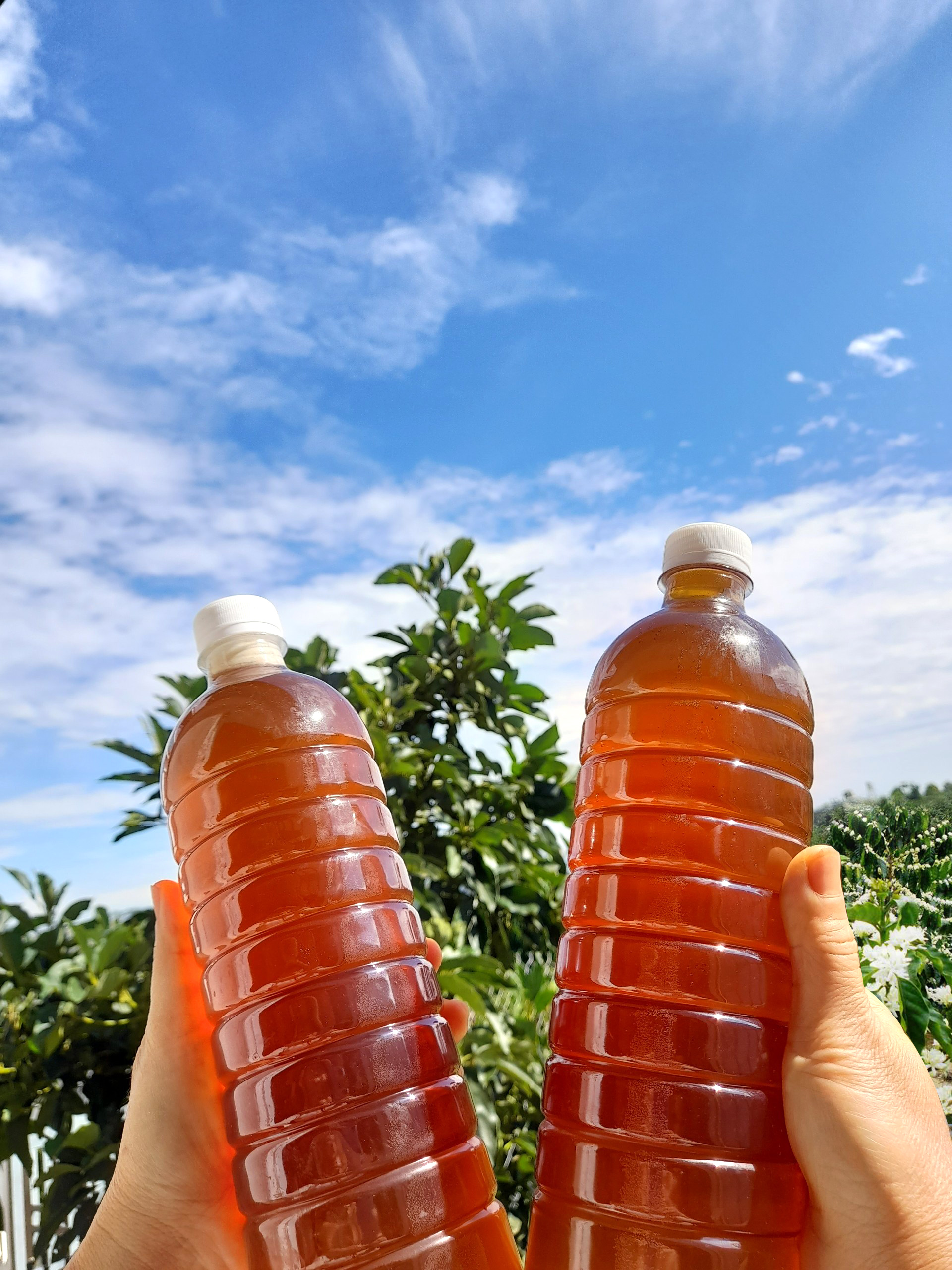 2 chai mật ong hoa cà phê tây nguyên nguyên chất chai 1l