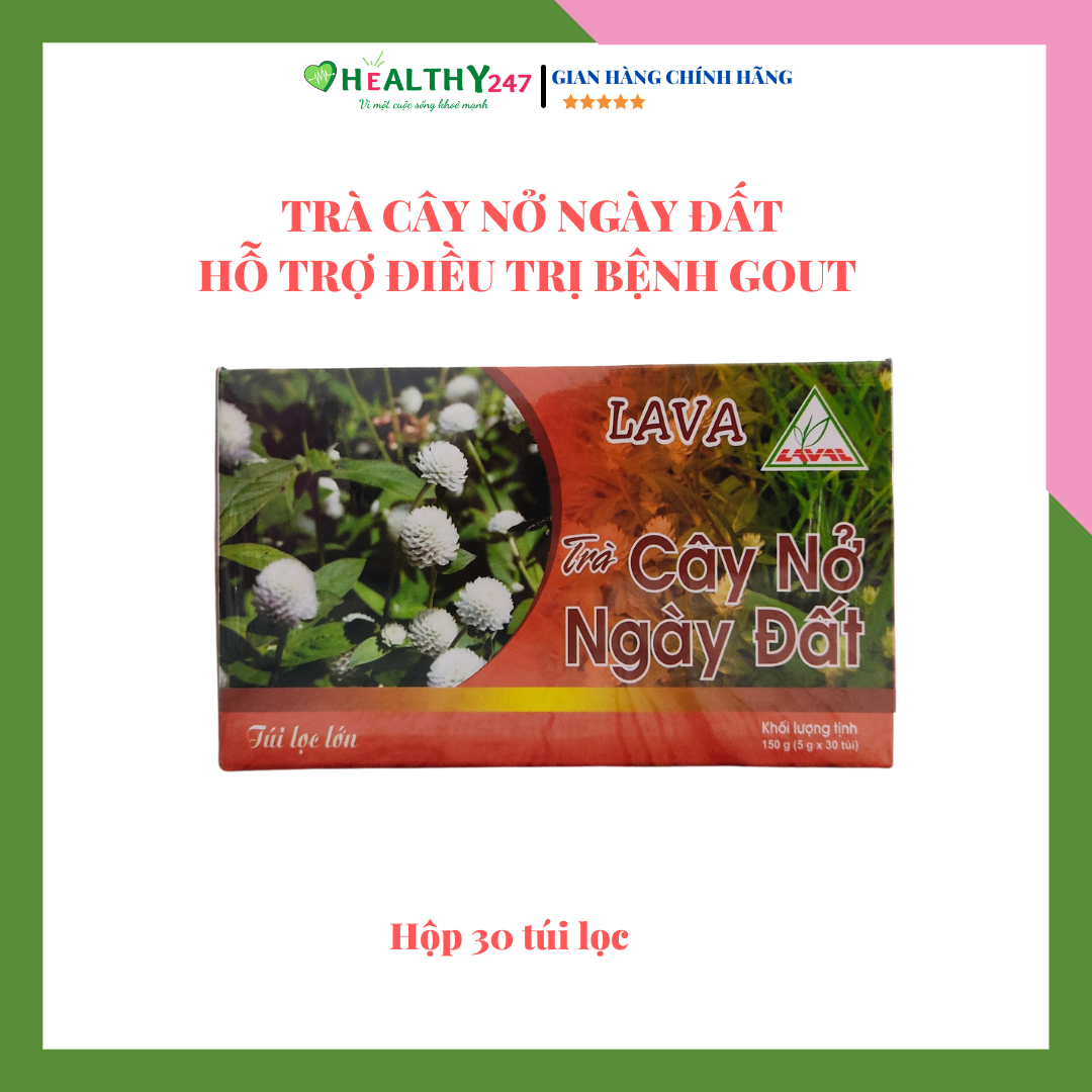 Trà cây nở ngày đất lava hộp 30 túi lọc hỗ trợ bệnh gout, khớp healthy 247