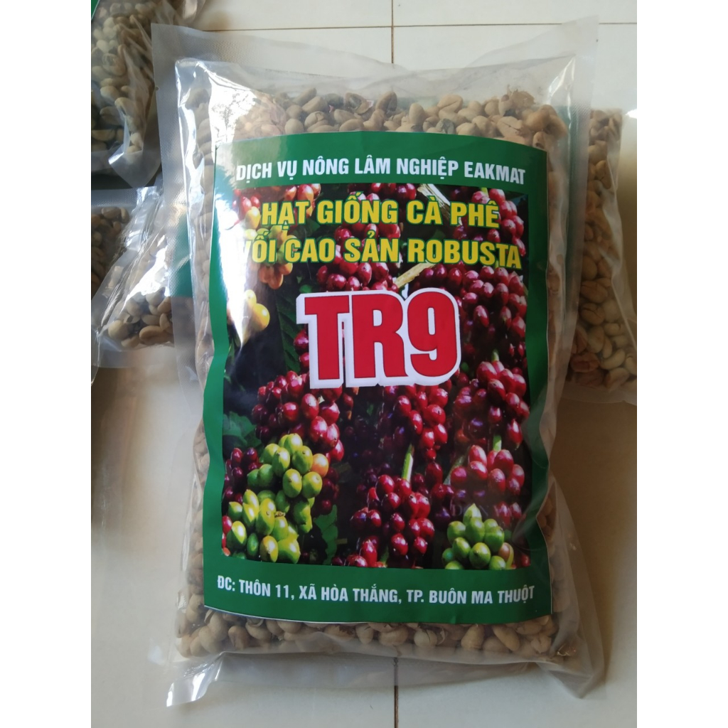1kg hạt giống cà phê tr9 (gói 1`kg