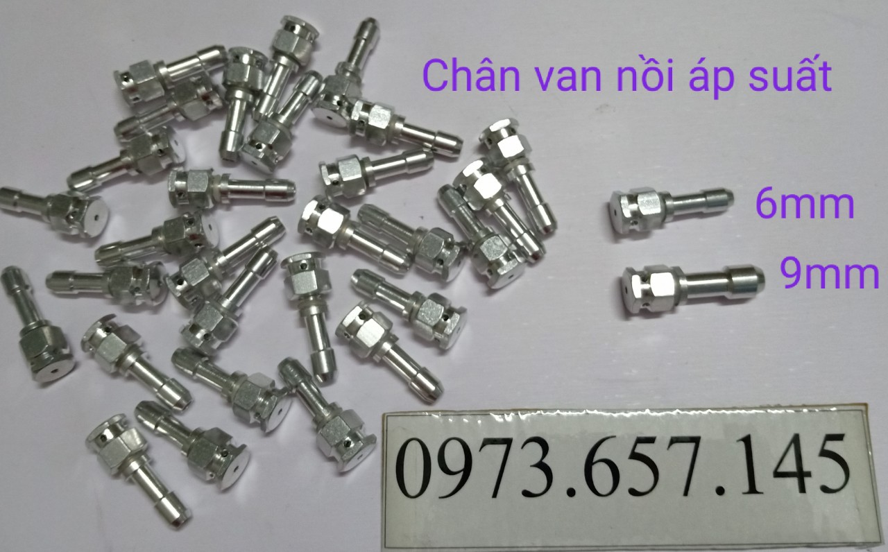 Chân van nồi áp suất gas 2 quai