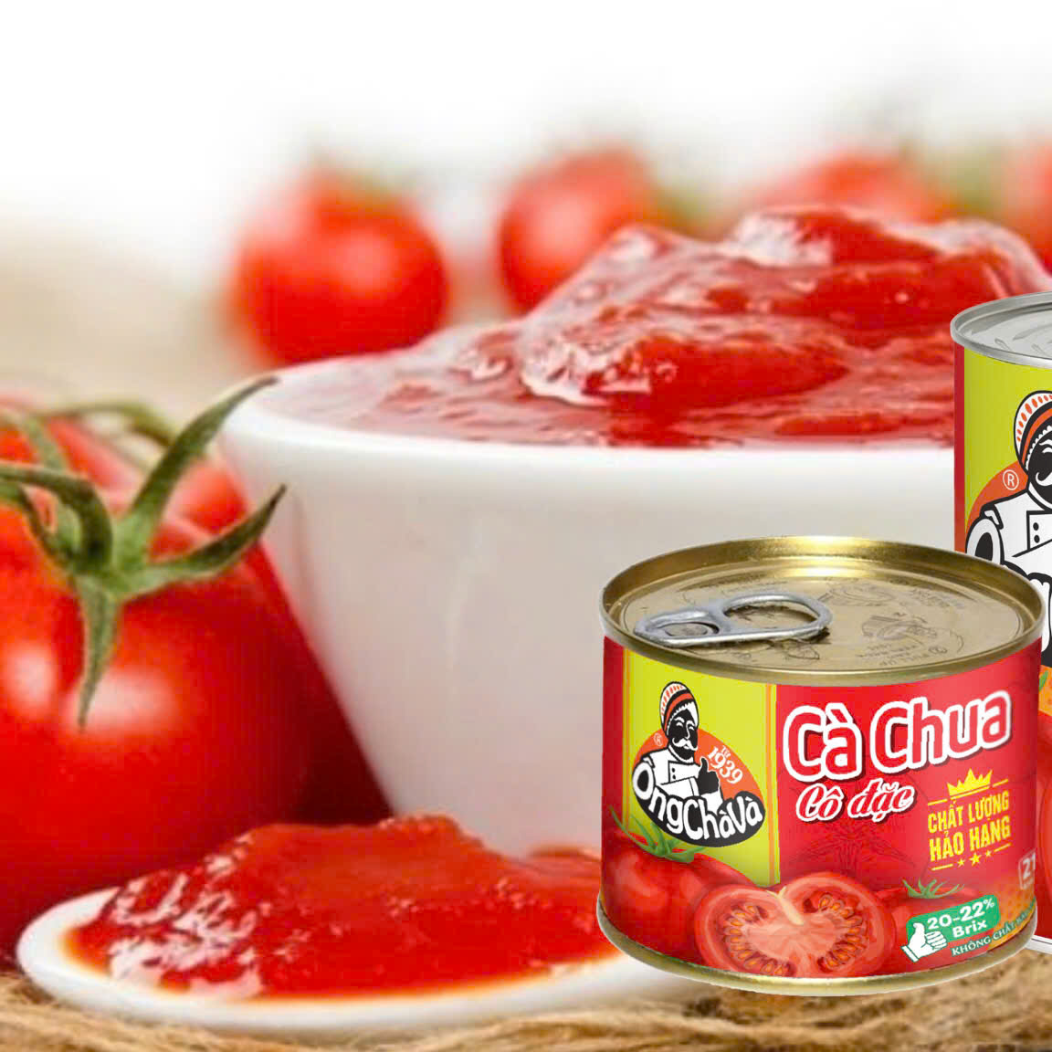 [Combo 10 hộp x hộp 210g] Cà Chua Cô Đặc Ông Chà Và - Sốt Cà Chua Giá Tốt Cho Bếp