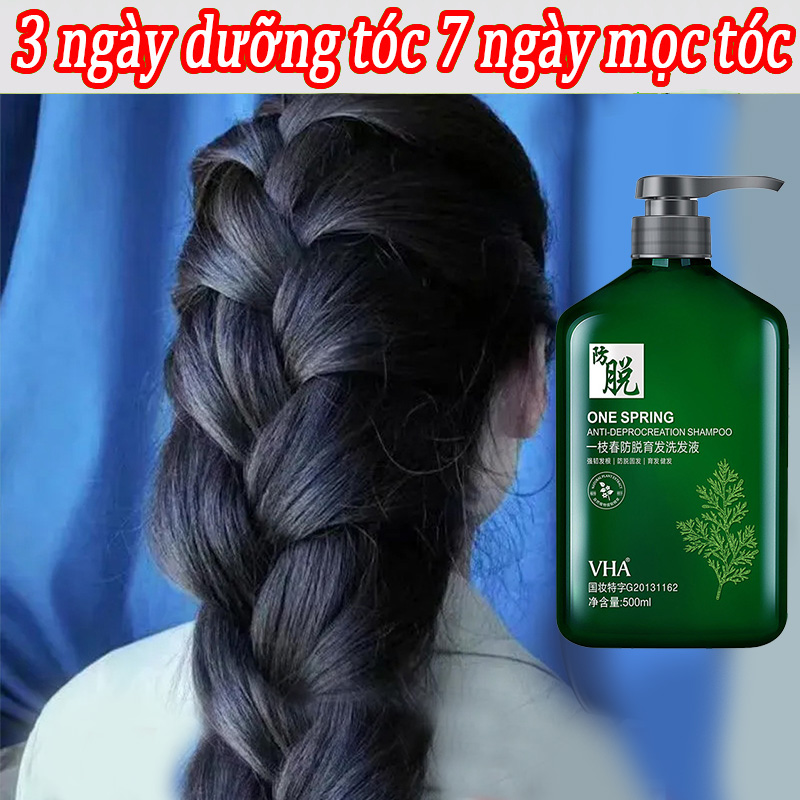 Dầu gội gừng tươi Dầu gội chống rụng tóc 500mlNgăn ngừa rụng tóc,phục hồi hư tổn,dầu gội rụng tóc và mọc tóc Thúc đẩy mọc tóc,làm khỏe chân tóc,cải thiện độ xoăn cứng