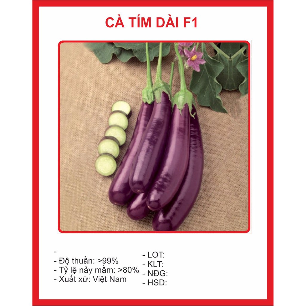 Hạt giống Cà Tím Dài F1 2gram ~ 600Hạt