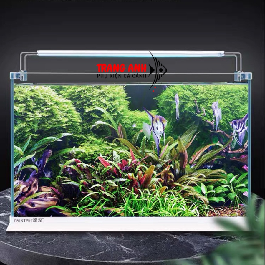 Đèn led hồ cá jeneca sc-80 nhiều màu cho hồ cá cảnh, dành cho bể 80-90cm