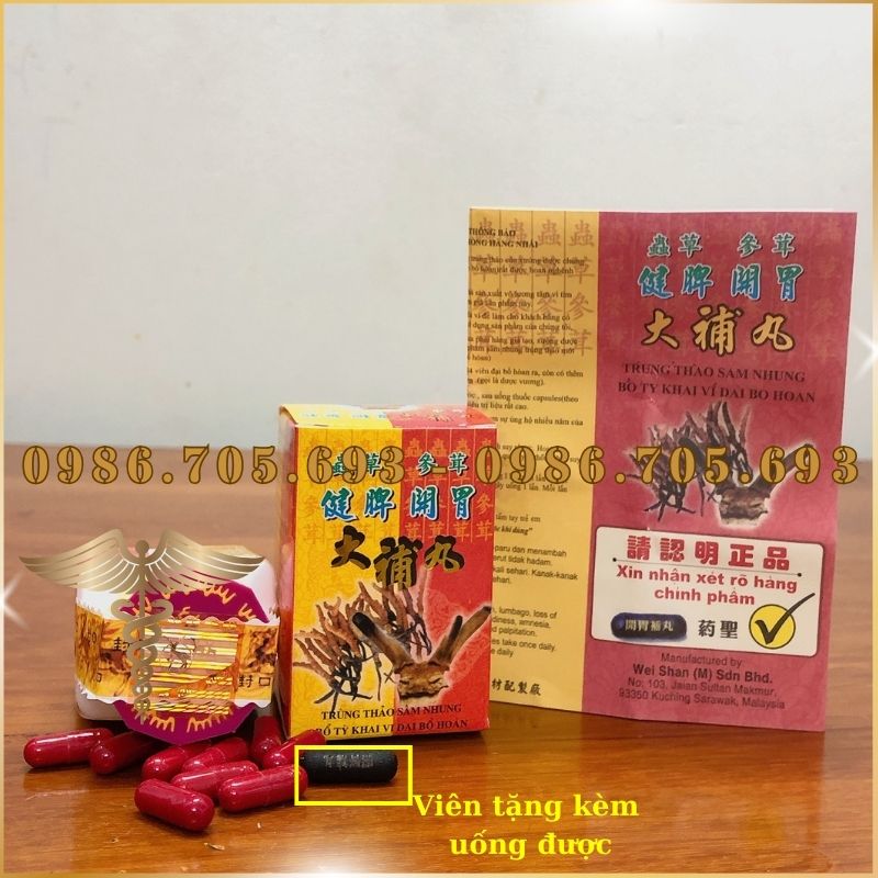 Trùng thảo sâm nhung xịn hỗ trợ tăng cân 34 viên