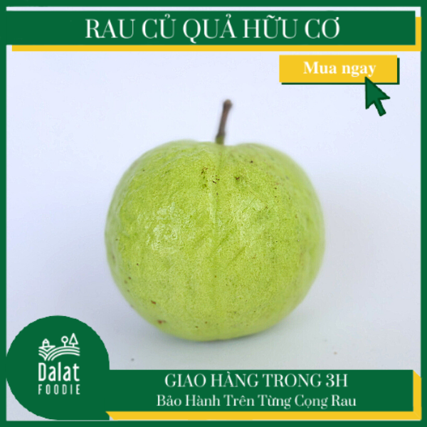 Ổi Nữ Hoàng Hữu Cơ 1Kg - [Giao ngay tại TPHCM]