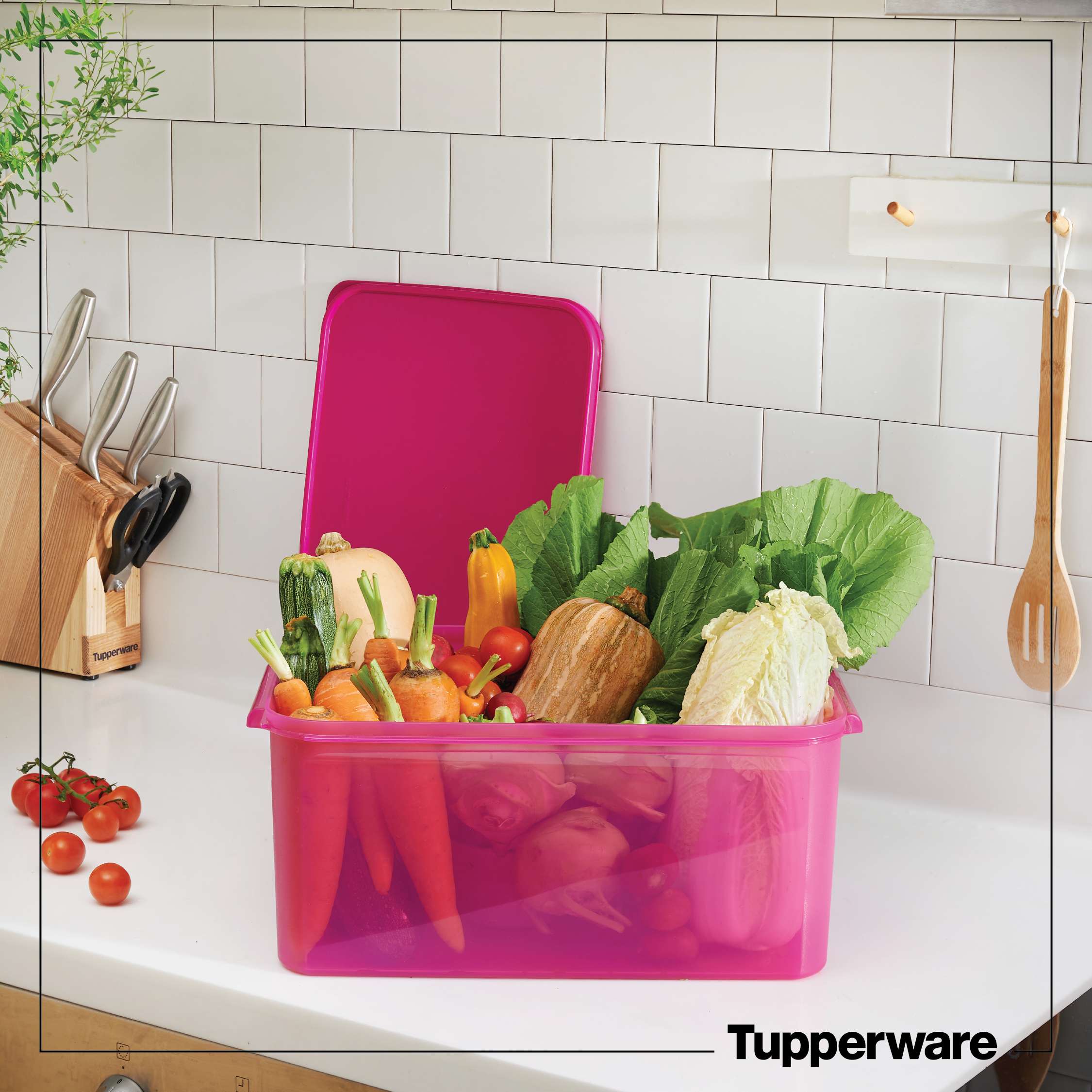 Hộp bảo quản thực phẩm Tupperware Jumbo 15L