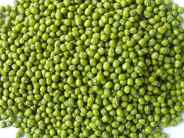 500g đậu xanh hột làm giá