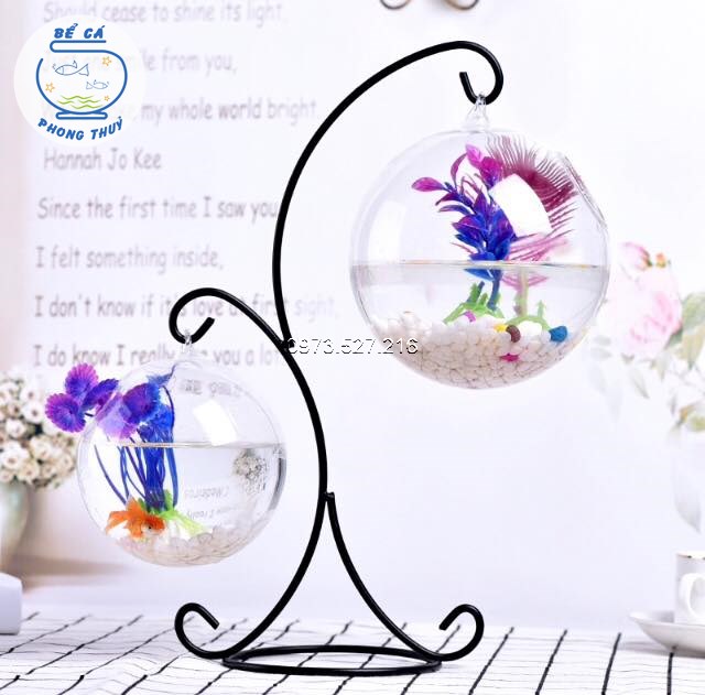 Bộ bể cá mini để bàn móc đôi 2 bình thủy tinh loại 1, bể cá phong thủy