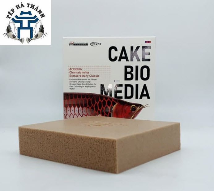 Vật liệu lọc bể cá dodofly dragon cake 20x20x5cm - vật liệu lọc cho bể cá cảnh, bể thủy sinh