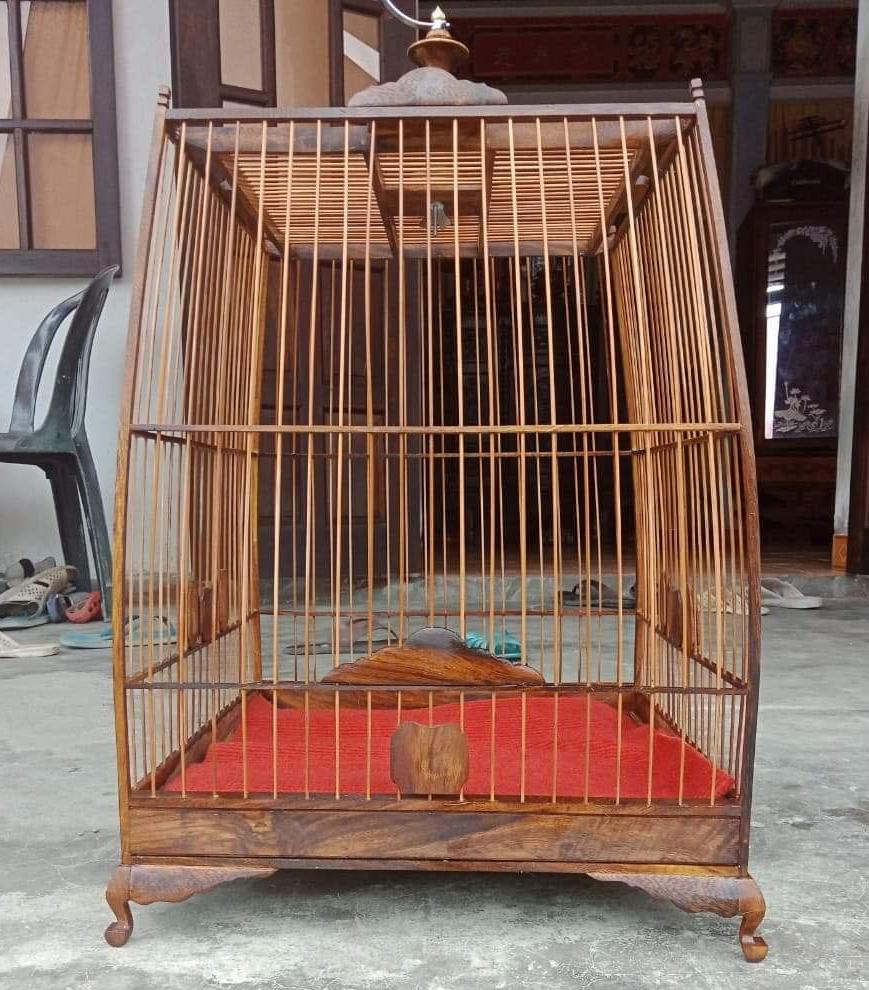 lồng chim
