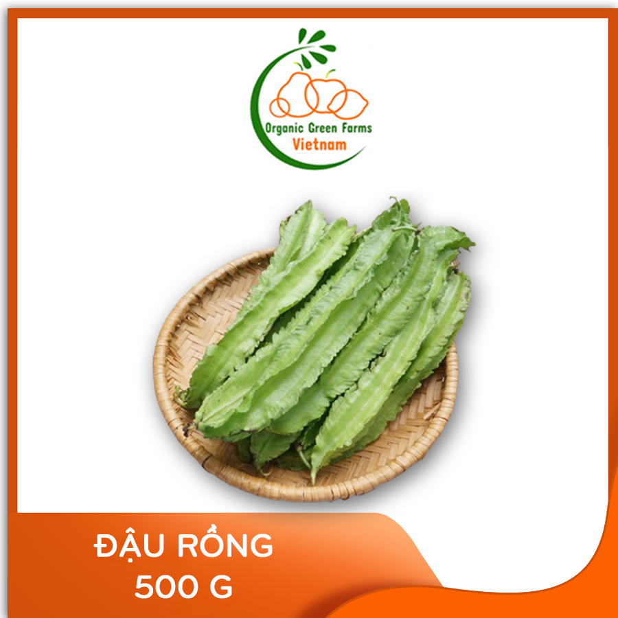 [OGF] - Đậu rồng (500 g) - [Giao nhanh TPHCM]