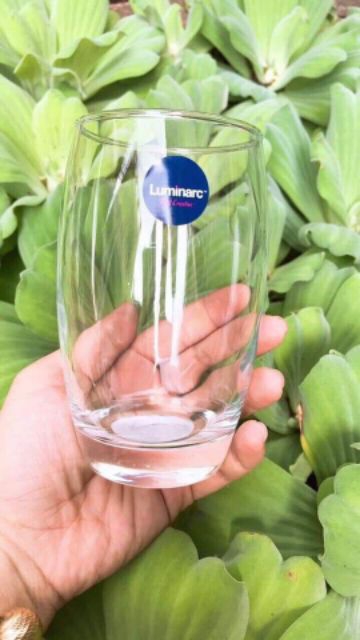 [HCM]Bộ 6 Ly Thủy Tinh Salto LUMINARC 350ml - Thủy Tinh Trong Suốt Cao Cấp